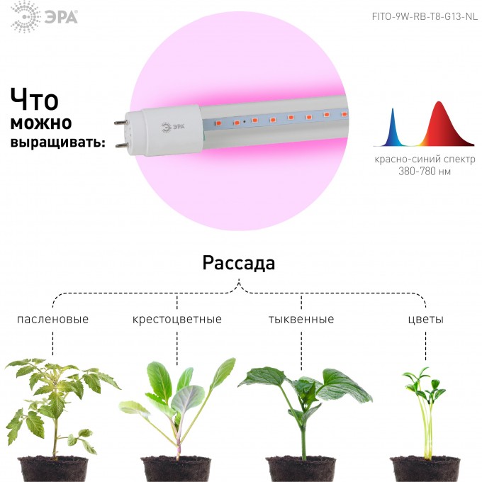 Фитолампа для растений светодиодная ЭРА FITO-9W-RB-Т8-G13-NL красно-синего спектра 9 Вт Т8 G13 B0042986 Фитолампа для растений светодиодная ЭРА FITO-9W-RB-Т8-G13-NL красно-синего спектра 9 Вт Т8 G13 B0042986